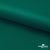 Ткань подкладочная Таффета, 19-5420, 53 г/м2, антистатик, шир. 150 см, вечнозеленый - купить в Сарапуле. Цена 57.16 руб.