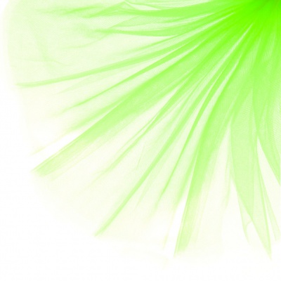 Фатин матовый 16-142, 12 гр/м2, шир.300см, цвет неон.зелёный - купить в Сарапуле. Цена 100.92 руб.