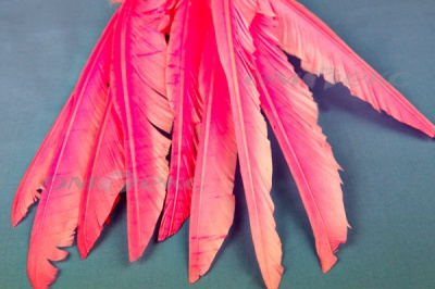 Декоративный Пучок из перьев, перо 25см/розовый - купить в Сарапуле. Цена: 14.40 руб.