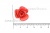 Украшение "Розы малые №1" 20мм - купить в Сарапуле. Цена: 32.49 руб.