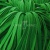 Шнур 15мм плоский (100+/-1м) №16 зеленый - купить в Сарапуле. Цена: 10.21 руб.