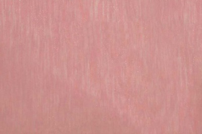 Органза однотонная "Амелия" С19 (Розовый) 280 см - купить в Сарапуле. Цена 303.09 руб.
