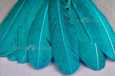 Декоративный Пучок из перьев, перо 24см/голубой - купить в Сарапуле. Цена: 12.19 руб.