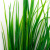 Трава искусственная -2, шт (осока 41см/8 см)				 - купить в Сарапуле. Цена: 105.63 руб.
