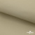 Ткань подкладочная TWILL 230T 14-1108, беж светлый 100% полиэстер,66 г/м2, шир.150 cм - купить в Сарапуле. Цена 90.59 руб.