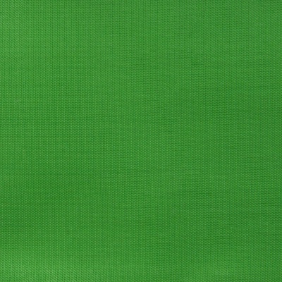 Ткань подкладочная Таффета 17-6153, 48 гр/м2, шир.150см, цвет трава - купить в Сарапуле. Цена 54.64 руб.