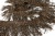 008-коричневый, Бахрома арт.001 шир.10см (упак.12+/-0,5м) - купить в Сарапуле. Цена: 1 017.33 руб.