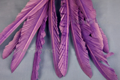Декоративный Пучок из перьев, перо 25см/фиолетовый - купить в Сарапуле. Цена: 12.19 руб.